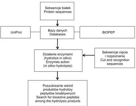 Fig. 1. Scheme of procedure applied for an in silico hydrolysis of chicken meat  proteins 