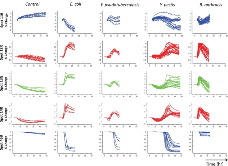 Figure 4. Species time response profiles. Selected time response profiles of four different bacterial species at both low and high concentrations.