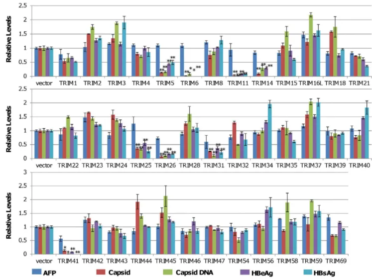 Figure 1. Identification of TRIMs that regulate HBV viral protein expression, capsid assembly and DNA replication