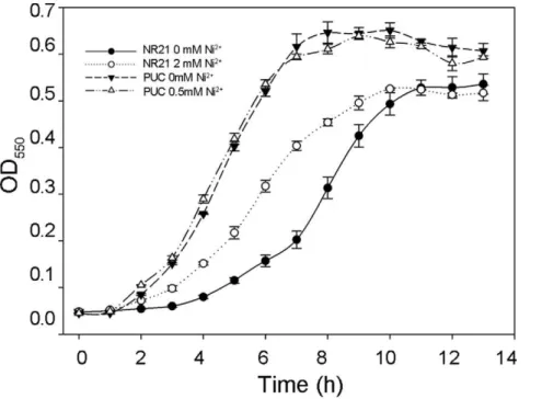 Figure 1. Growth curve of E. coli harboring pNR21 or pUC19 plasmid in medium containing the NiCl 2 either induced or not induced by NiCl 2 