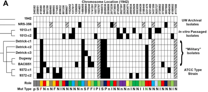 Figure 5. Whole-genome mutation analysis and evolutionary history of the ‘‘military’’ lineage of B