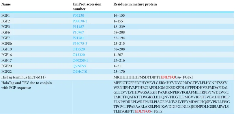 Table 1 Peptide sequences of FGFs, the N-terminal HisTag constructs and the N-terminal HaloTag constructs