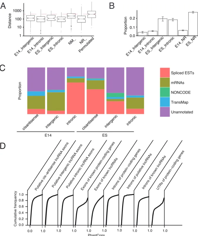 Figure 2. Genomic and transcriptional characterizations of putative embryonic brain lncRNAs