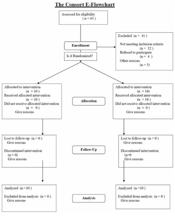 Figure 1. CONSORT flowchart.