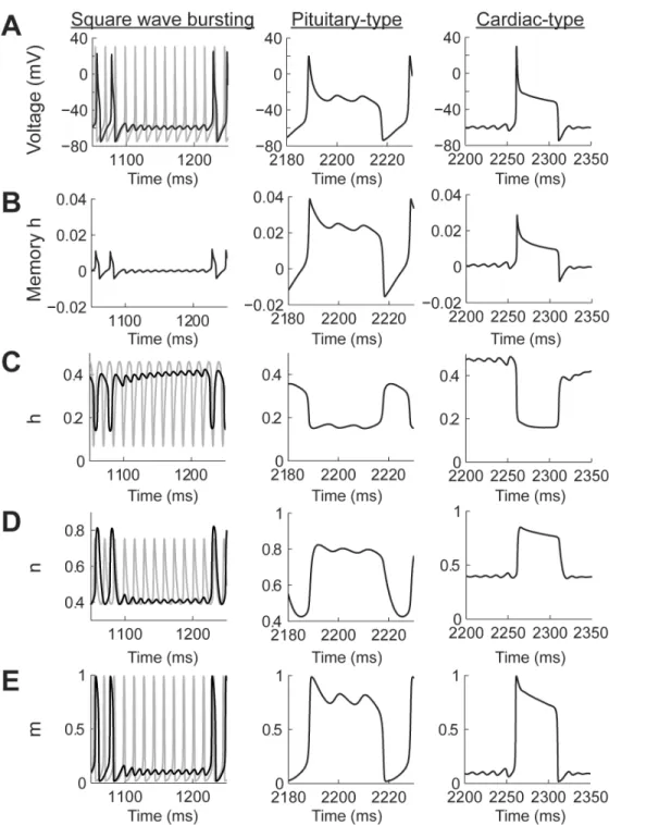 Fig 8. The contribution of the memory trace to square wave bursting and pseudo plateau potential spiking patterns in the Hodgkin-Huxley model with power-law behaving h gate