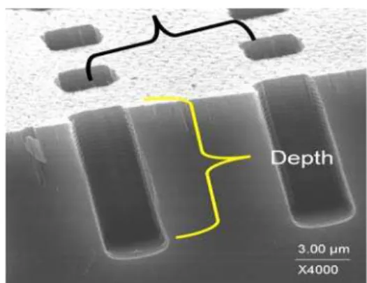 Fig. 1: Scanning electron microscope pictures of 2D  grating structures 