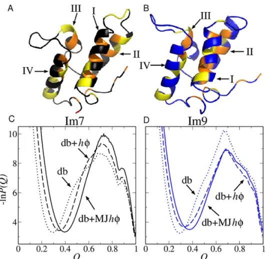 Fig 1. Structures and folding thermodynamics of Im7 and Im9. The ribbon diagrams (top) depict the PDB structures of (A) Im7 (PDB ID: 1AYI) and (B) Im9 (PDB ID: 1IMQ)