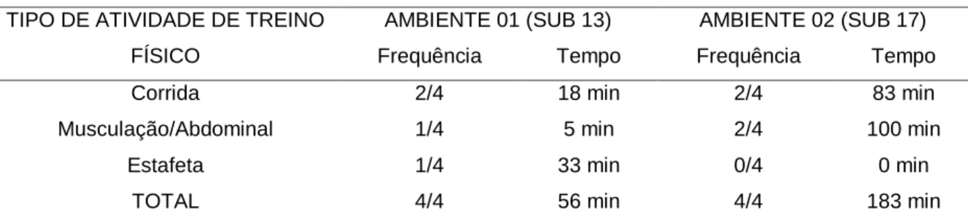 TABELA 03 – Comparação e descrição da atividade treino físico. 