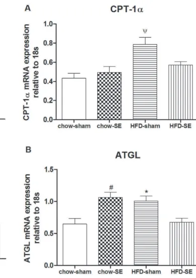Figure 6. mRNA expression of CPT-1 a and ATGL in the fat.