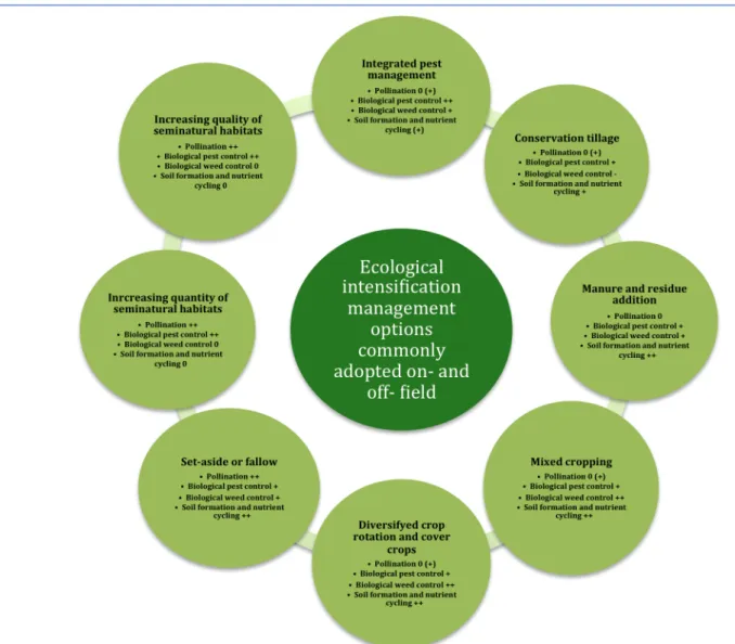 Figure 1.1 represents some options for ecological intensification management, with the link  to their impact on the regulating ecosystem services