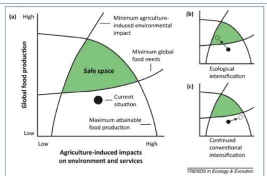 Figure 1.2: Agricultural limits and alternatives for global food production in the  current situation (a) and two scenarios for the future, ecological intensification (b)  and continued conventional intensification (c), adapted from Bommarco et al