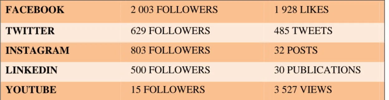 Table 1: EcoMegot followers and activity on its social networks  