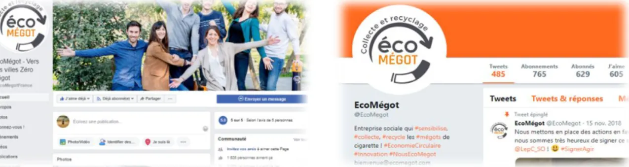 Figure 12: EcoMegot Facebook and Twitter home page screenshots 