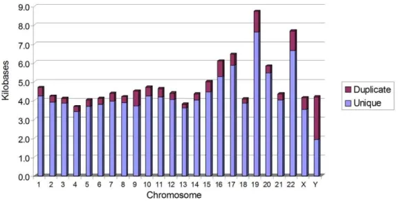 Figure 5. Average distance between FRT -like sequences in human chromosomes. The highest density of FRT -like sequences is in chromosome 4; the lowest density is in chromosome is 19