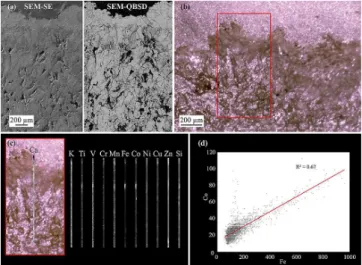 Fig. 7. (a) Cross-sectional micrographs of the outer surface and en- en-dolithic habitat under SEM-SE and SEM-BSE conditions