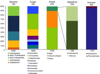 Fig. 4. Cryptoendolithic community profile based on SSU and LSU pyrotag sequence analyses