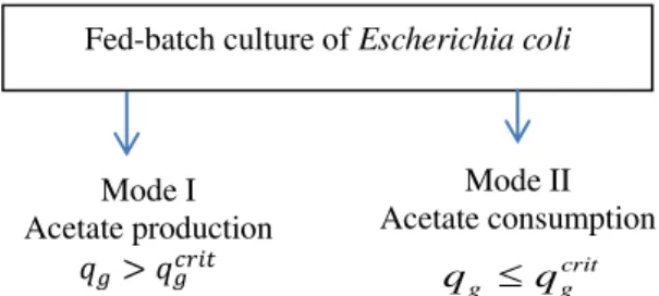 Fig. 13 Various modes by which really the process passes  Detection of the acetate production mode 