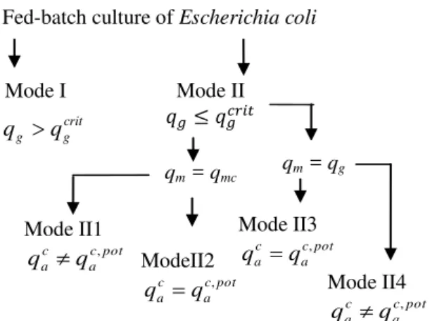 Fig.  1  shows  the  different  situations  that  can  arise  in  an  E.  coli  culture,  with  one  case  for  mode I and four cases for mode II