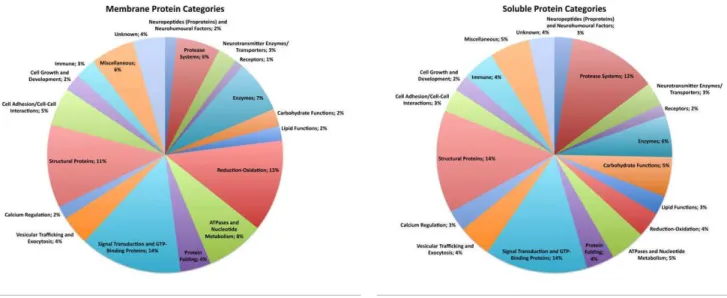 Figure 1. Functional categories of human DCSV soluble and membrane proteins. Pie charts illustrate the relative portion of proteins in each functional category for the soluble (panel A) and membrane (panel B) fractions of human DCSV