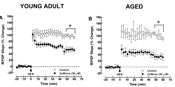 Fig. 1. Caffeine inhibits long-term potentiation (LTP). Caffeine (30 µM, filled symbols) decreased the magnitude of high frequency stimulation (HFS)-induced long-term potentiation (LTP) of the field excitatory postsynaptic potentials (fEPSP) in the Schaffe
