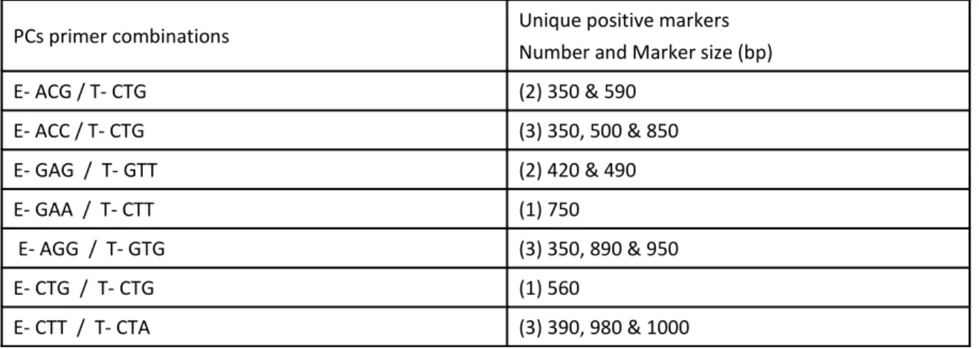 Table 4. Number and marker size (bp) of unique positive markers identified into DE22 variety using 7 AFLP  PCs primer combinations