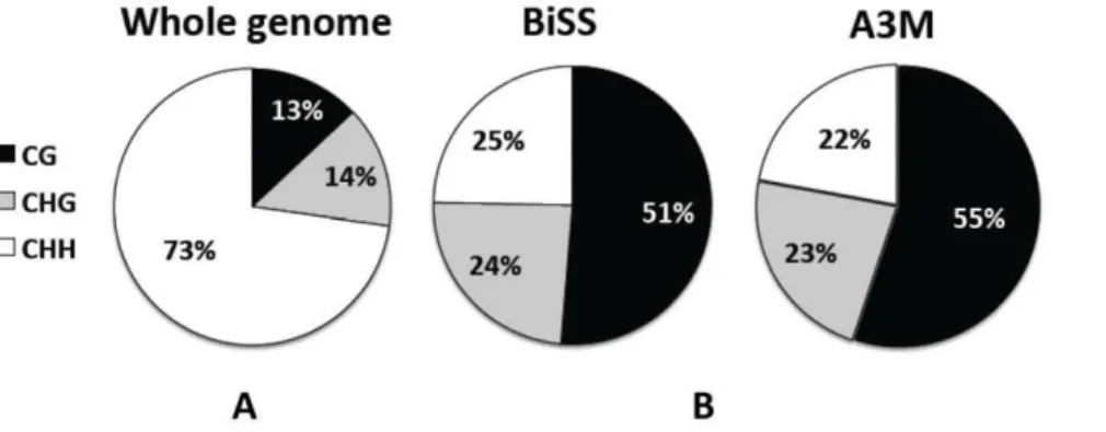 Figure 2. Methylation status according to BiSS and A3M split into distribution of cytosine sequence context