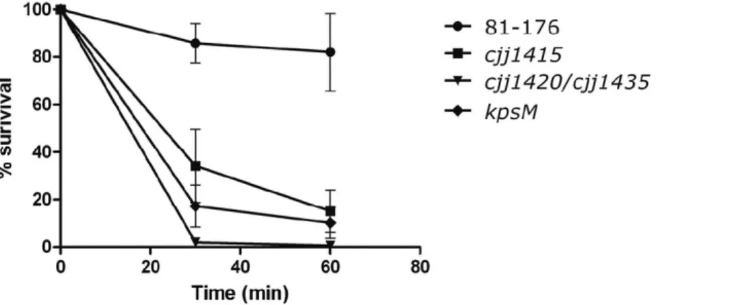 Figure 6. MeOPN modifications provide protection against serum mediated killing by interfering with the classical complement activation pathway