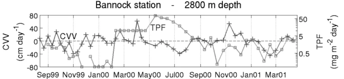 Fig. 8. Total Particle Flux (TPF) and Current Vertical Velocity (CVV) at the Bannock site for Mooring 1 (15 September 1999–13 May 2000) and Mooring 2 (30 May 2000–9 May 2001)
