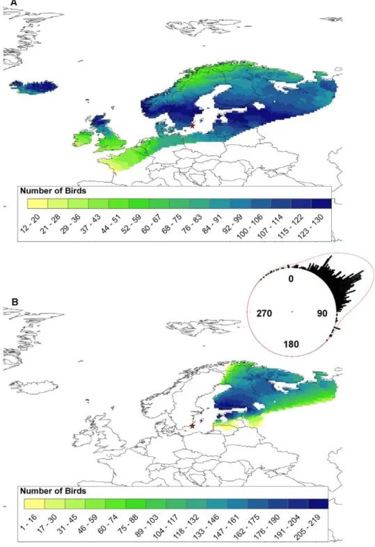 Figure 2. Geographic distribution of assigned natal origins of mallards. Natal origin of 252 hatch-year mallards, sampled at Ottenby (red star) during the autumns in 2004 and 2005, were inferred using A) stable isotope (d 2 H f ) analysis of feathers, and 