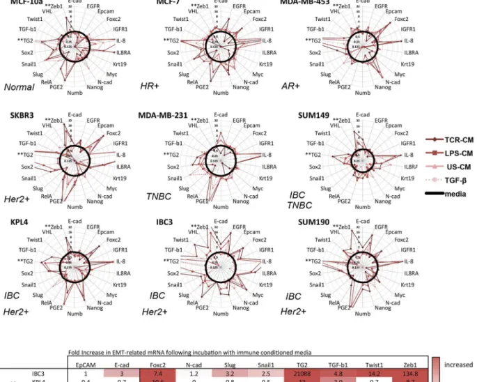 Fig 3. Analysis of multiple cell lines by Fluidigm. Breast cancer cell lines were incubated with immune CM for 48 hours and mRNA was analyzed by qRT-PCR