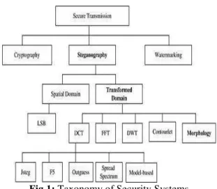 Fig 1: Taxonomy of Security Systems 
