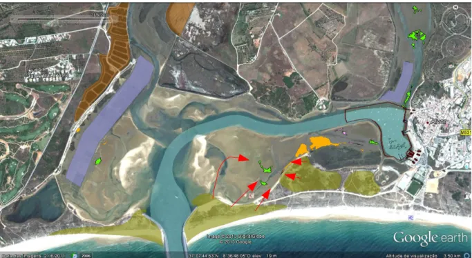 Figura 4.3.1 - Mapa indicando os locais das deposições de areias dragadas (polígonos amarelos) e  indicação do sentido da erosão dunar e refluxo das areias pelo mar (setas vermelhas)