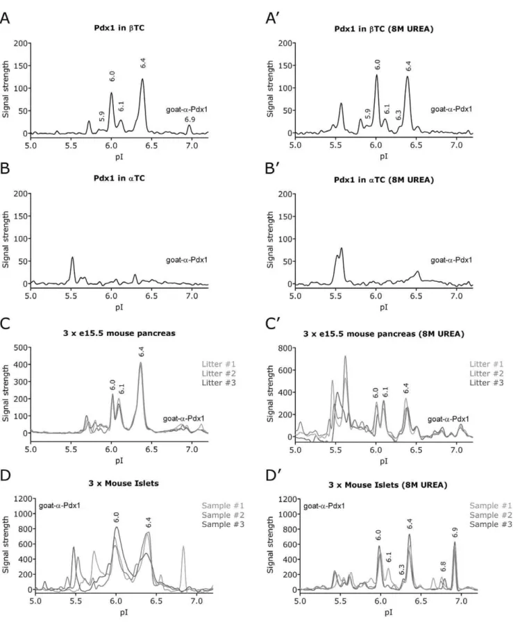 Figure 3. The NIA profile of endogenous Pdx1. Analysis of cells with know endogenous expression of Pdx1