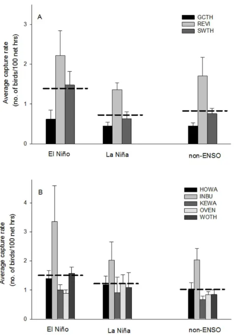 Figure 3. Capture rate and ENSO events. Comparison of average capture rate of stopover migrant species that over-wintered in (A) South and (B) Caribbean-Central America during El Nin˜o, La Nin˜a, and non-ENSO years