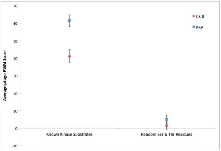Figure 3. Goodness-of-fit of the pLogos derived from ProPeL and actual known kinase substrates versus random substrates.