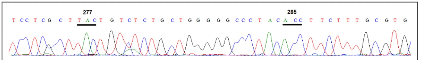 Figura  27.  Exemplo  detalhado  de  um  cromatograma  do  éxon  5  sequenciado  a  partir  da  amostra  de  sangue da fêmea de lobo-guará que realizou os testes comportamentais