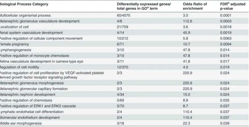 Table 5. Biological processes enriched for genes differentially expressed between the neurocognitive impairment and no impairment groups.