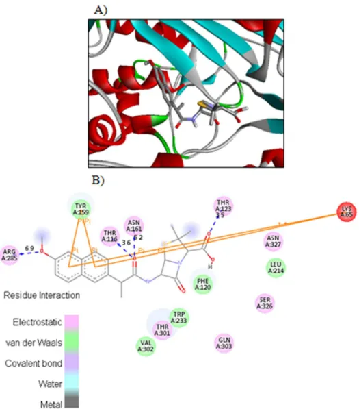 Fig 4. The potential ligand-protein interactions of compound 4e with the active site of Penicillin binding protein (PDB ID 1CEF) generated by using Discovery Studio 4.0