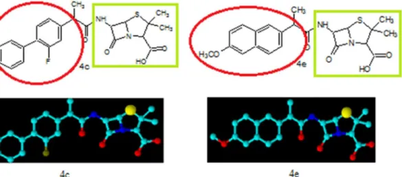 Fig 2. Chemical structure and three dimensional view of compounds 4c and 4e with highlighted green show the main penicillin nucleus and red show the designed moiety to increase the bioactivity.