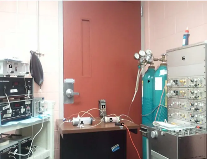 Fig 1. Modified Barometric Plethysmography. Photograph of plethysmography set up for ventilatory function analysis