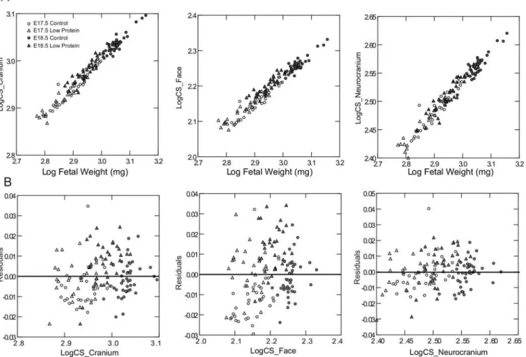 Fig 3. Relationship between fetal skull size and body weight in low protein and control groups