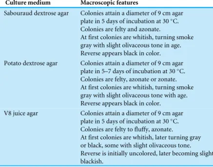 Table 3 Key morphological features of clinically isolated D. eschscholtzii .