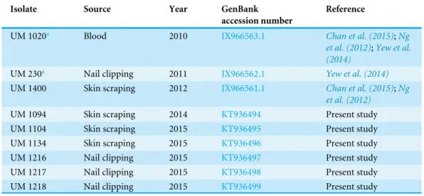 Table 1 Clinical isolates of D. eschscholtzii isolated in this study.