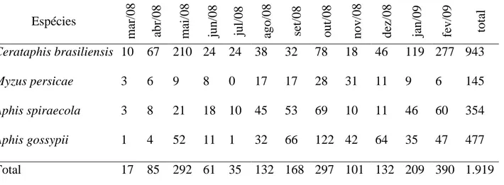 Tabela 1. Aphididae (Hemiptera) coletados com armadilha de Moericke em cultura de coqueiro  anão verde no município de Linhares, ES, entre março de 2008 e fevereiro de 2009