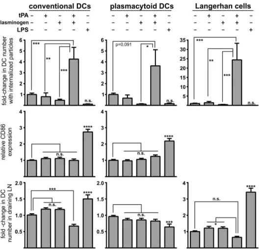 Fig 6. Intradermal plasmin injection increases the phagocytosis of microparticles by multiple mouse dendritic cell types in vivo , but does not trigger their maturation or migration to the draining lymph nodes