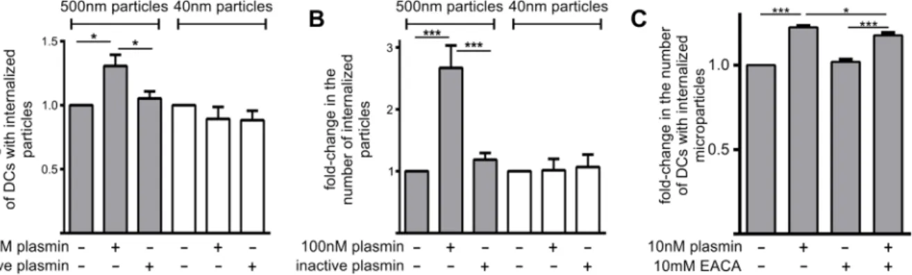 Fig 2. The proteolytic activity of plasmin increases the phagocytosis of microparticles, but not nanoparticles, by MoDCs