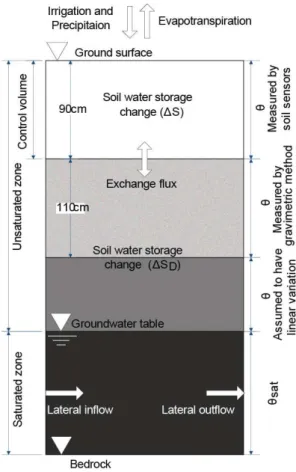 Fig. 2. Analysis zone for water balance and groundwater dynamics.