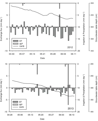 Fig. 3. Exchange flux at 90 cm depth and groundwater table variation during period after cotton is sown and before drip irrigation.