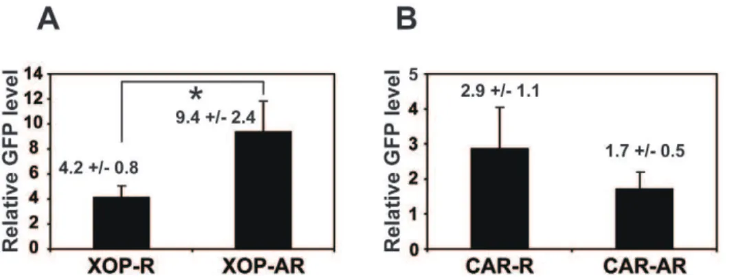 Figure 5. Arrhythmic melatonin secretion correlates with mRNA levels of XOP-XCL D Q, but not CAR-XCL D Q