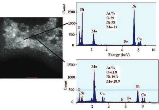 Fig. 5. TEM dark field image and EDS spectra of an electrodeposited Ni–MoO x  layer  (j Ni  = 50 mA cm -2 ; 1 g dm -3  MoO 3 ) on a smooth Ni support from a Watt bath